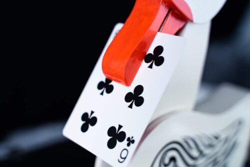 Card duck truco de magia con cartas infantil y gracioso