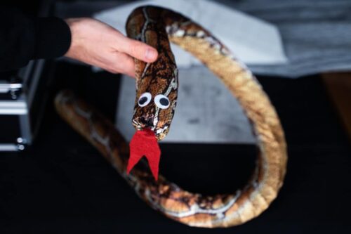 Comprar truco de magia de la varita que se convierte en serpiente